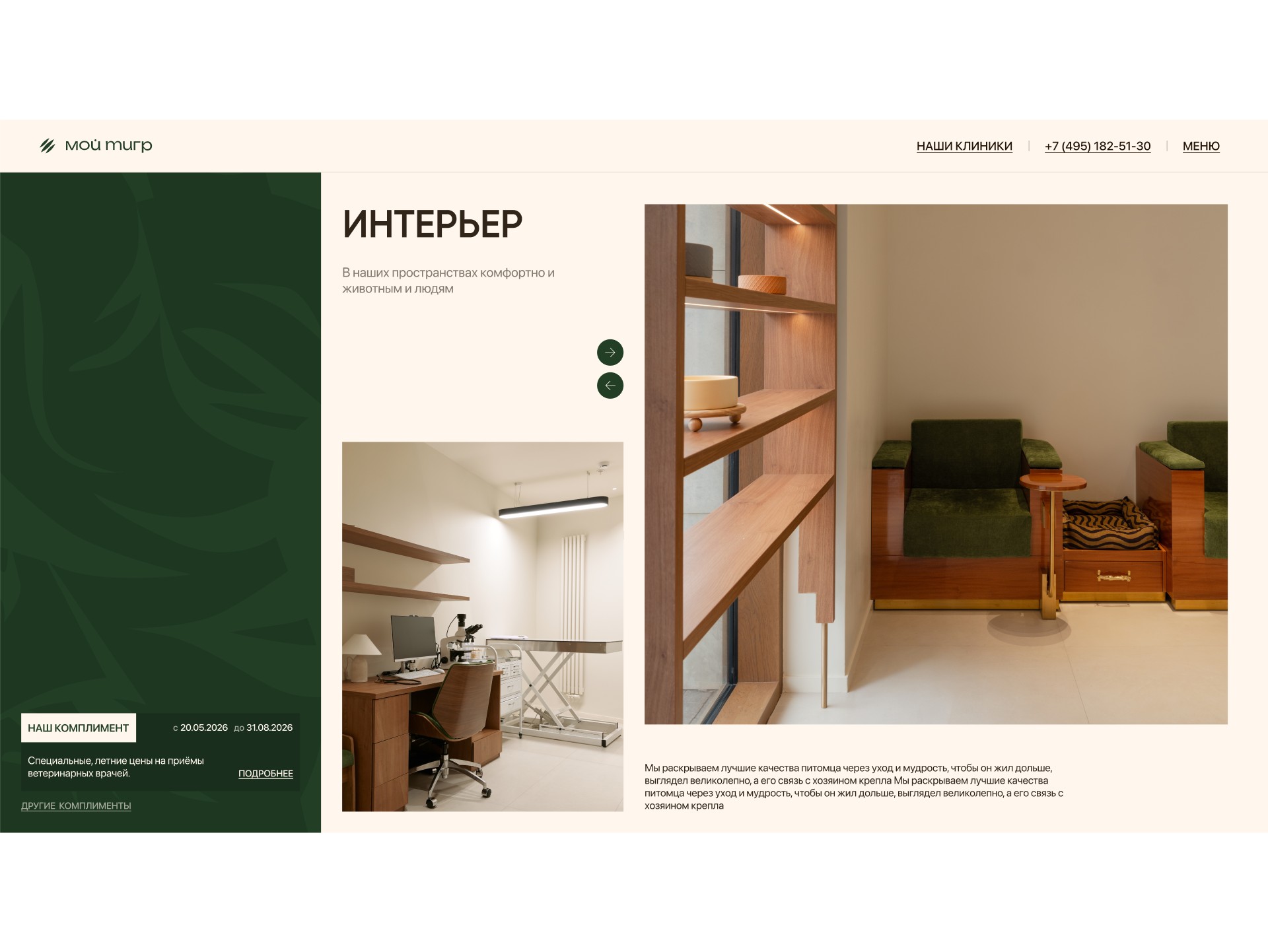 МОЙ ТИГР: иллюстрация 1