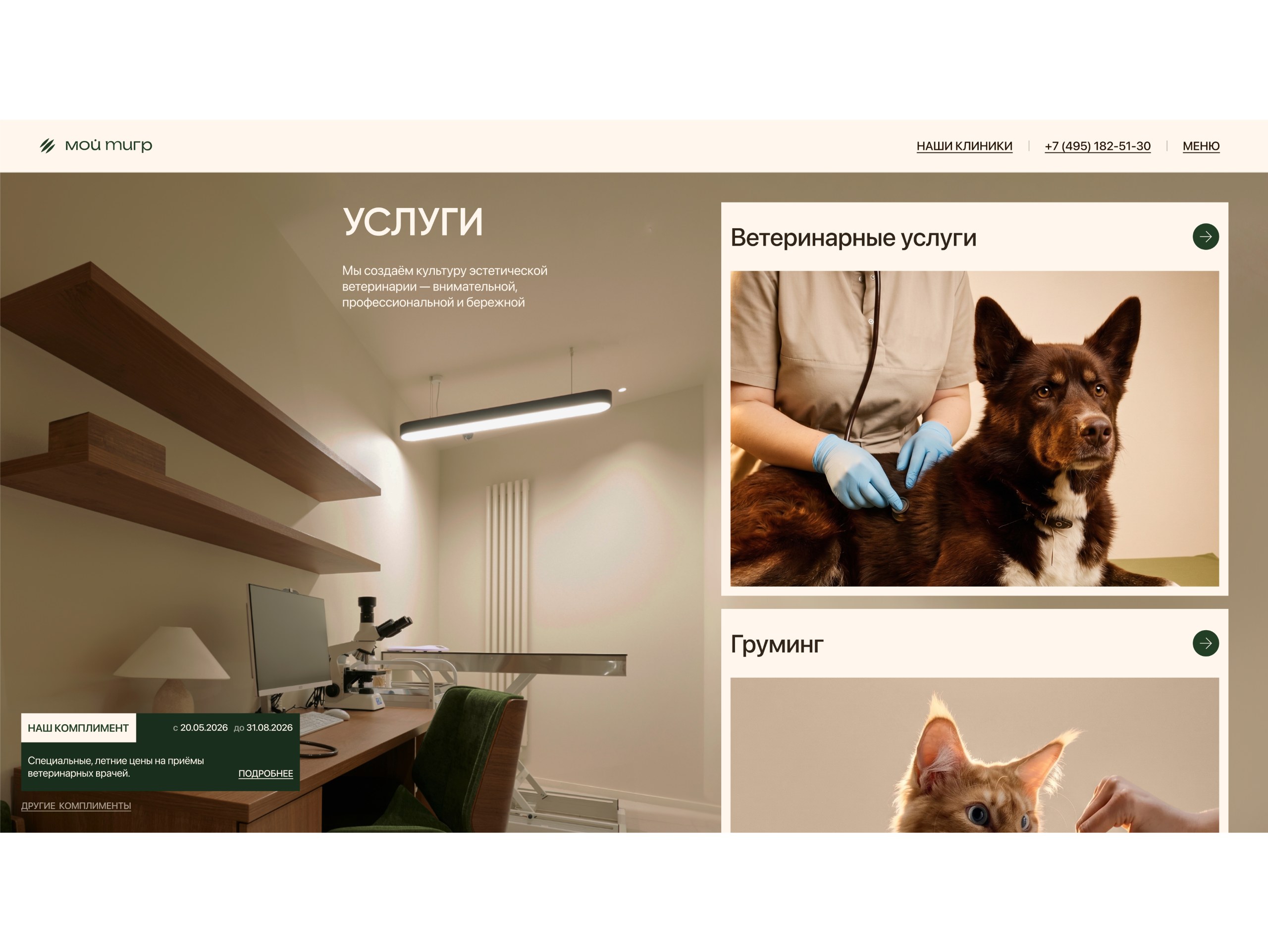 МОЙ ТИГР: иллюстрация 3