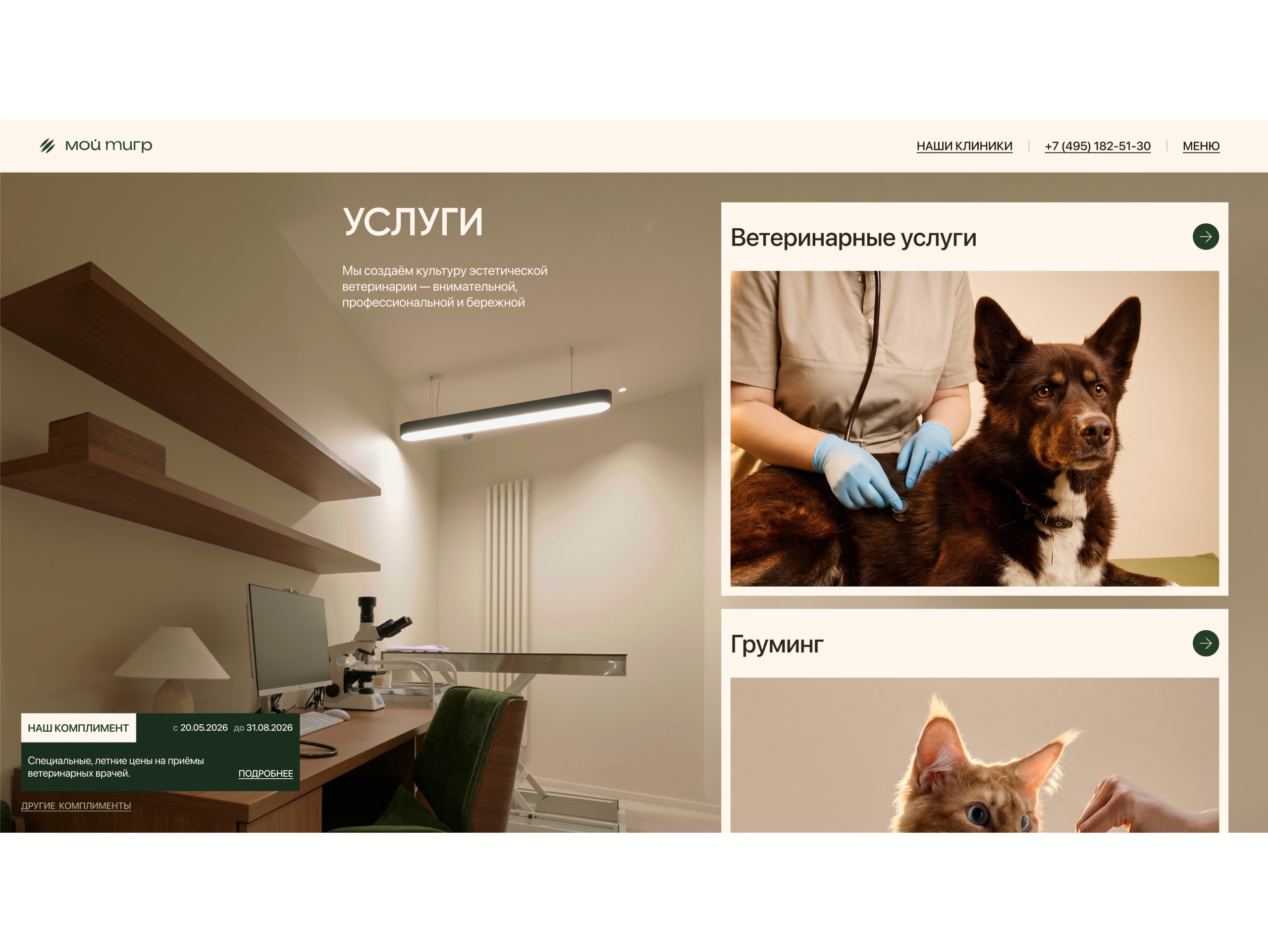 МОЙ ТИГР: иллюстрация 3