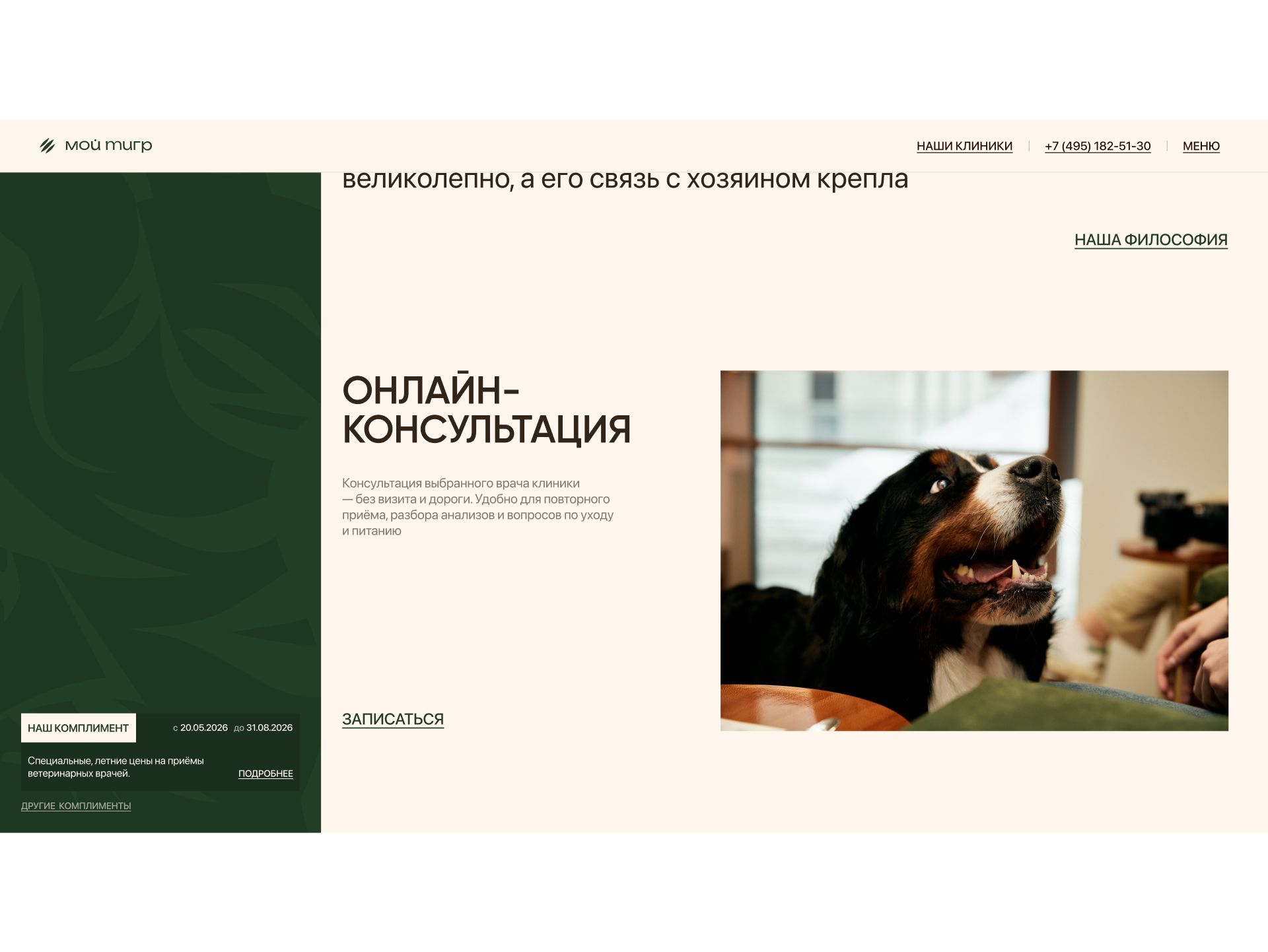 МОЙ ТИГР: иллюстрация 7